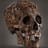 Xed Itiosus
