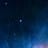 snaig flores