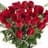 Kary Garcia Gomez