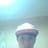 Alexis Marcial