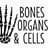 Bones Organs and Cells Aldasoro