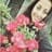 Clau Bastias