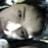 Jhon Brayan Mendoza Bernarldillo