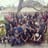 Medicina Grupo F
