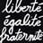 Dorothee Elfring