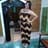 Jisselle Betancourt