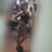 Jessica Porte