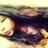 Leslie Ticona