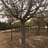 Reyes Casas Munarriz