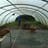 Alex Ordieres Menendez