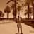 Irel Corrales Fuentes