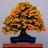 El Club Del bonsai