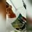 Joseth Alfredo DL Hoz