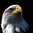 Joe Eagle
