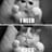 Liz casani lml