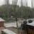 shilur