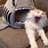 gleysi hernandez