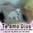 Carla Jazmin Reyes Cisneros