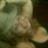 Yasmely Del Valle Medina