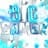 BicGamer