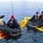 bimbach caranx