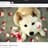 Dog Cake pie