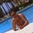 Jose Frois