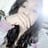 Giss Nipas