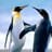 danyellow gonzalez