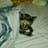 juan carlos bou quiles