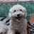 jairo duche
