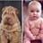 alberto fuentes