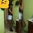 Bethania Moreta