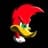 lokillo falcon