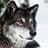 EL LOBO SOLITARIO