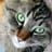 VDF VDF