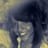 Leidy Katherine Viafara Vasquez