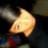 Manuel Stiven Cardozo Oquendo