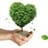 Educacion Ambiental