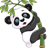 Pandita pandita