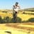 troylee 21