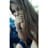 lucre contreras