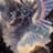 Aewl Sol