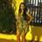 Angela Patricia Uribe Laiseca