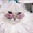 Fluffy Cat