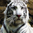 Ángel MC