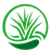 Cesped Artificial