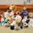 Peluche Vision