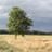 By Llan