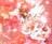 aerith555